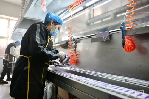 河北寧晉 小蠟燭點亮富民大產業，推動醫學研究與試驗發展